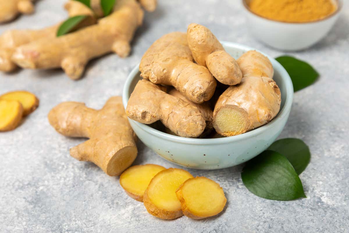 Zenzero, il rizoma che fa bene: proprietà, valori nutrizionali e benefici Zenzero, il rizoma che fa bene: proprietà, valori nutrizionali e benefici