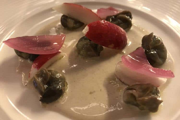 (Dalla Calabria le lumache premium 
Allevamento bio e tanto valore aggiunto)