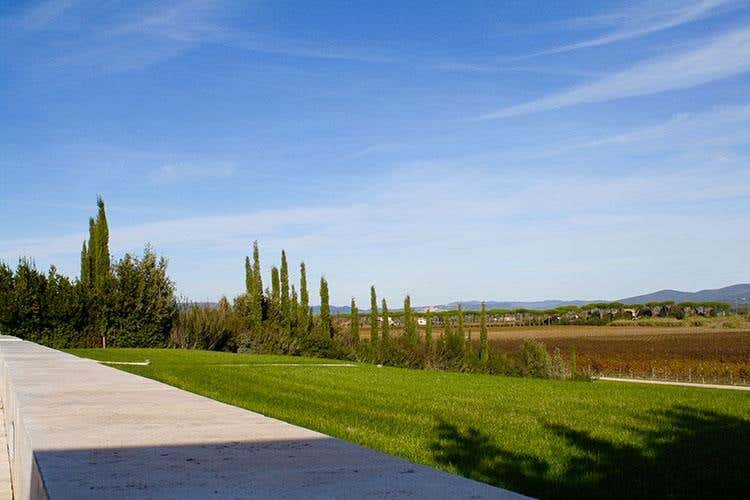 (Euro-Toques, il ritorno a Donna Olimpia )