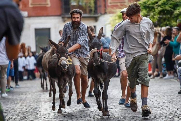 (Festival delle Sagre Astigiane 
Sfilate, folclore e degustazioni)