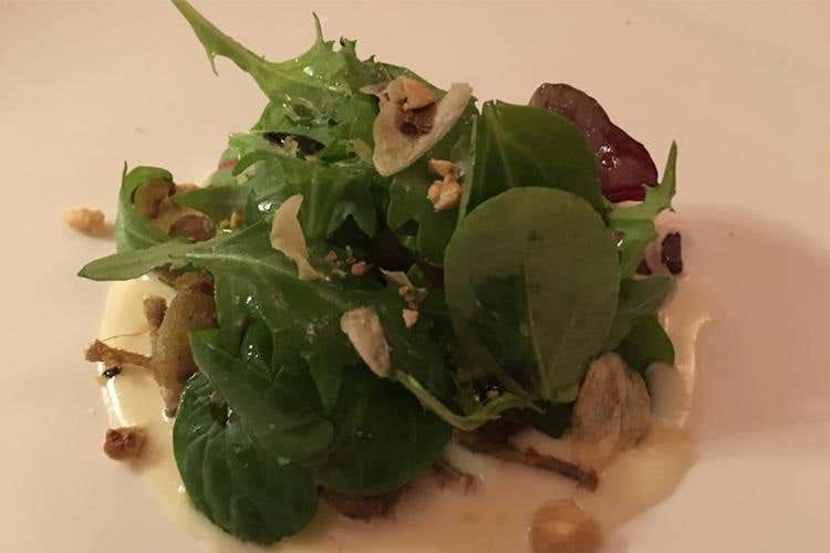 Coscette di rana cotte in coccio, salsa all’aglio dolce e insalata di erbe spontanee - Giancarlo Morelli: «Un bravo cuoco è anche imprenditore e pensa al futuro» 