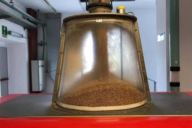 (Molino Magri guarda al futuro 
Inaugurato il polivalente MagriLab)