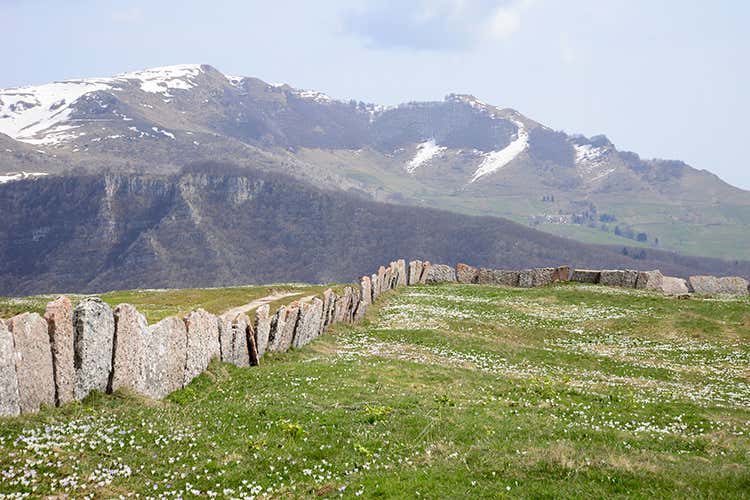 (Paesaggi rurali storici, la Lessinia 
prepara un dossier per farne parte)