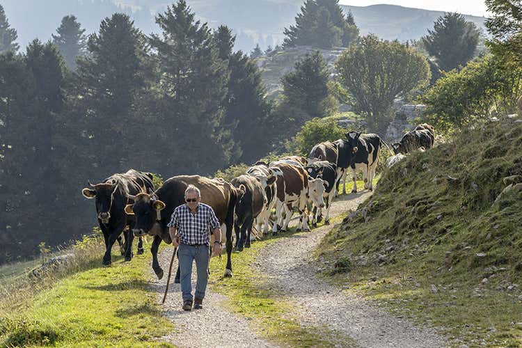 (Paesaggi rurali storici, la Lessinia 
prepara un dossier per farne parte)