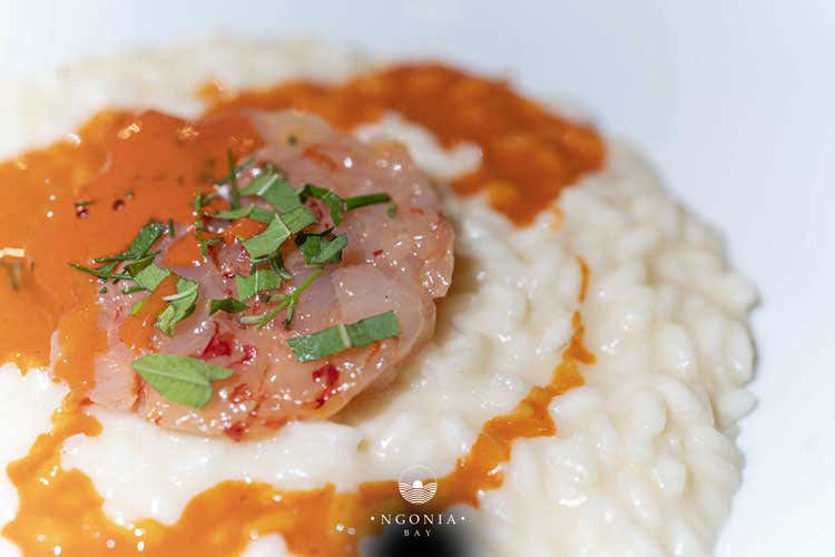 Risotto con i gamberi (Pandolfo ospita Andrea Tortora 
Concerto di sapori a ‘Ngonia Bay )