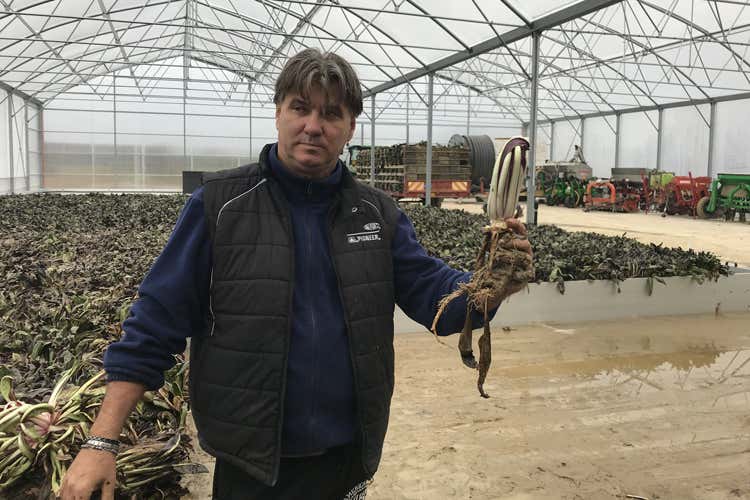 Mauro Brognera (Radicchio d'Oro, la 21ª edizione 
all'Accademico di Castelfranco)