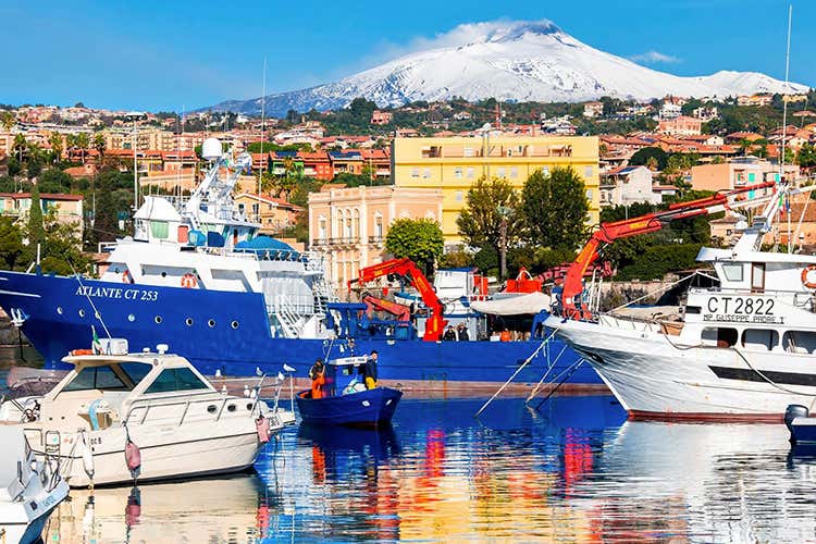 (Tonno rosso, non è più in estinzione 
Testa e Sultano lo portano in tavola 
)