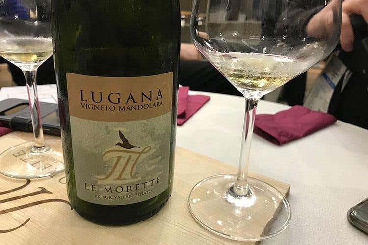 (Uve Turbiana e Chardonnay 
per il nuovo Metodo Classico Le Morette)